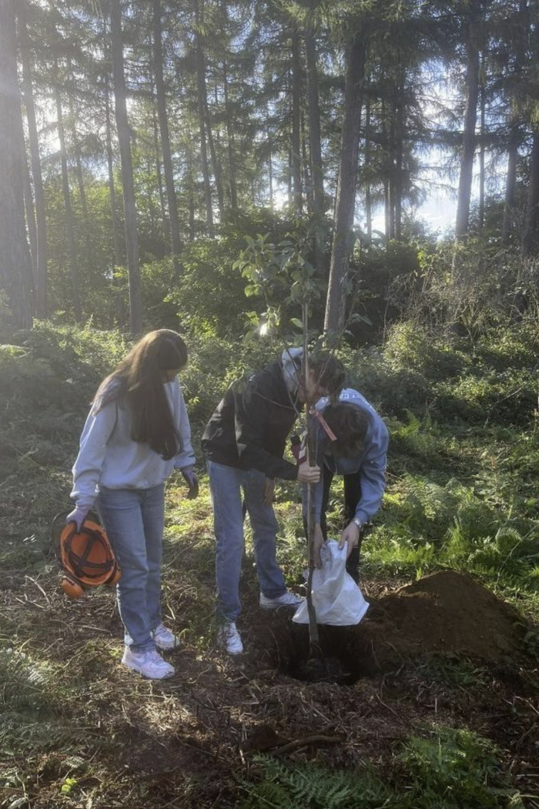 Bäumchen-Pflanz-Aktion der Neuhäuseler Kirmesjugend