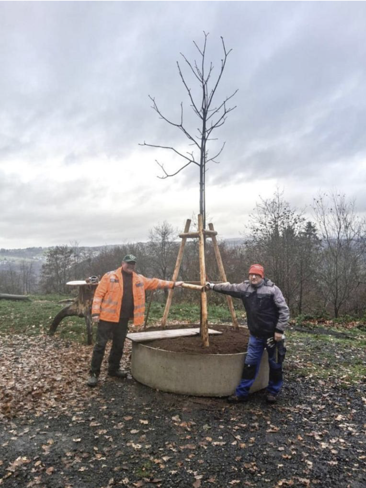 Verkehrsverein Arzbach: Neuer Baum für die nächste Generation an der Augstblick-Hütte